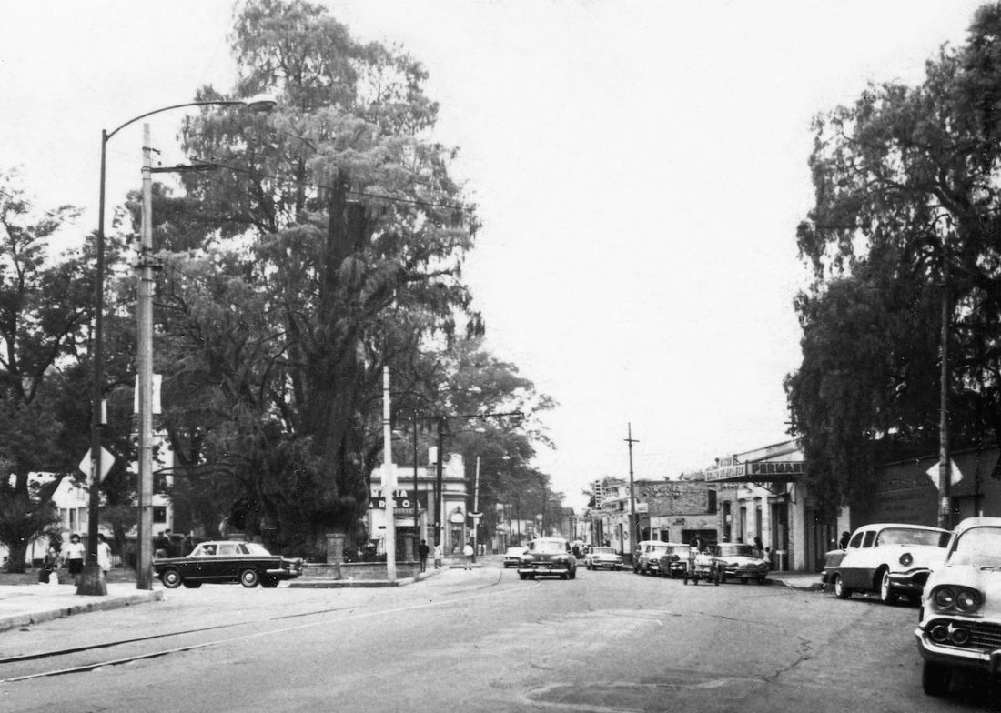 Calzada de Tacuba