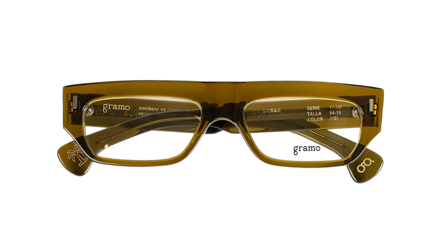 Lentes oftálmicos Lomas Gramo