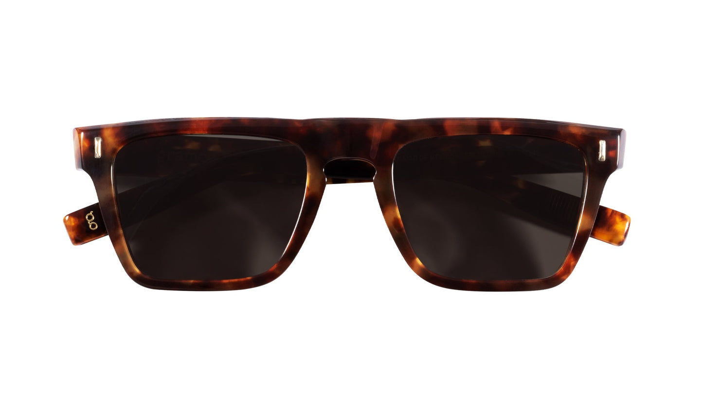 lentes-de-sol-escuadron201-color-carey