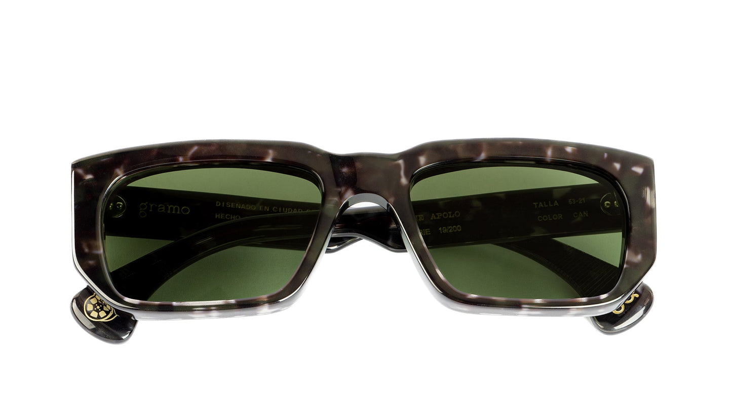 cine-apolo-lentes-de-sol-color-carey-negro