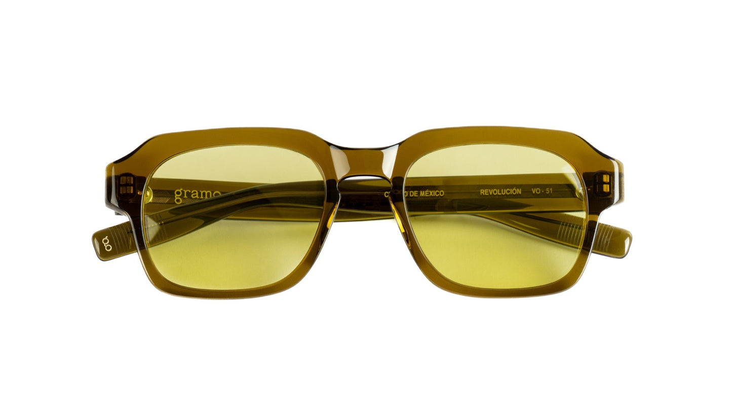 lentes-de-sol-revolucion-color-carey-a-azul