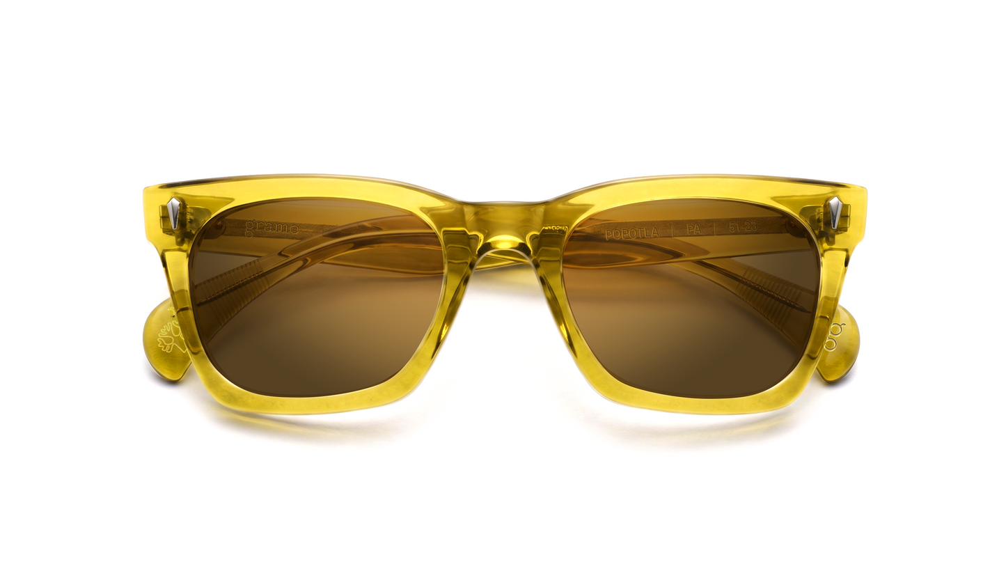 Popotla | Sunglasses